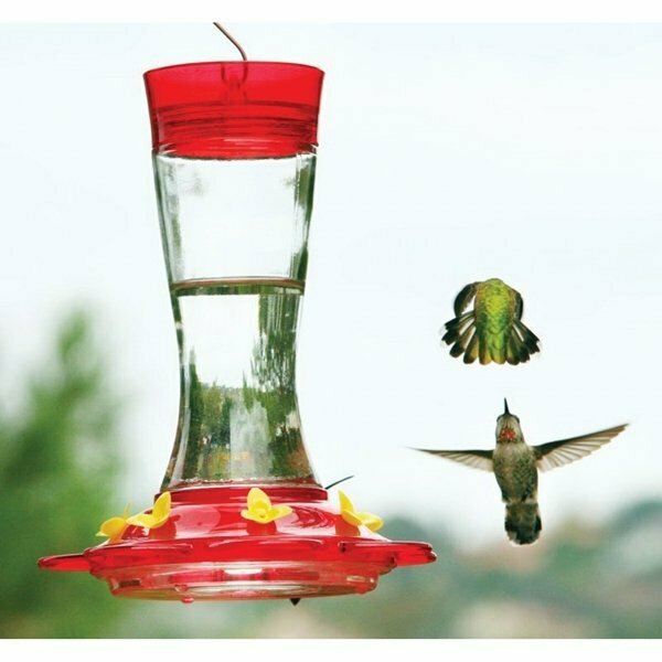 More Birds Garnet Glass Hummingbird Feeder W/Ant Moat 36-GAR